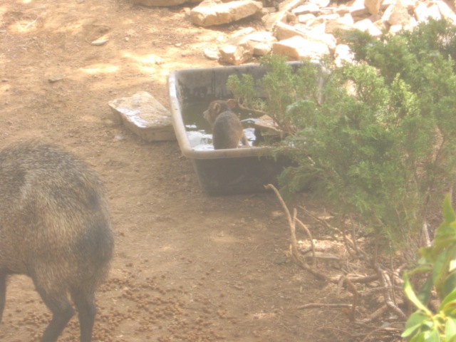 Where Did Everyone Go