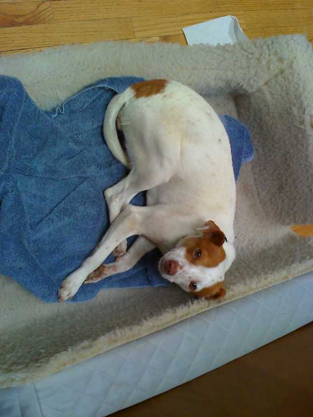 Looks pretty innocent, sucker